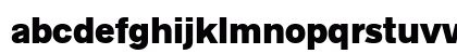 Radnika Next Black Alt Preview