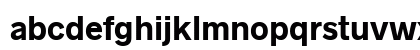 Radnika Next Bold Preview