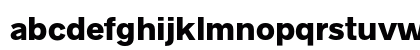 Radnika Next ExtraBold Preview