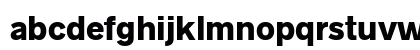 Radnika Next ExtraBold Preview