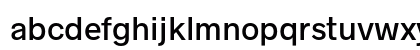 Radnika Next Medium Alt Preview
