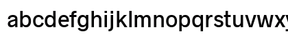 Radnika Next Medium Alt Preview