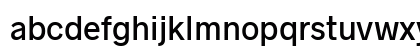Radnika Next Medium Preview