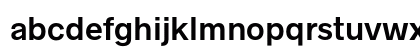 Radnika Next SemiBold Alt Preview