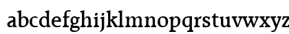 RaleighBlack Regular Preview