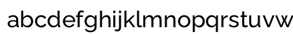 Raleway Medium Regular Preview