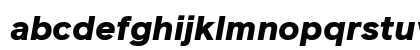 Reader Pro Black Italic Preview