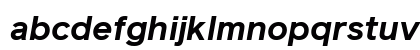 Reader Pro Bold Italic Preview