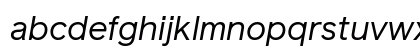 Reader Pro Italic Preview