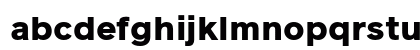 Reader Pro Black Regular Lowercase Preview