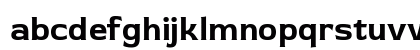 Red Rose Bold Lowercase Preview