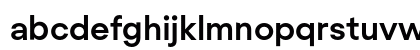 Regola Pro Bold Lowercase Preview