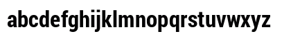 Roboto Condensed Bold Preview