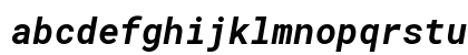 RobotoMono Nerd Font Bold Italic Preview