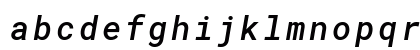 RobotoMono NF Italic Preview