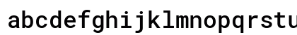 RobotoMono NF Regular Lowercase Preview