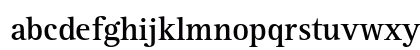 Rotis Serif Std Bold Lowercase Preview