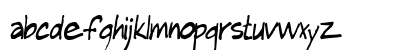 RoughRiderType60 Regular Lowercase Preview