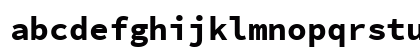 SauceCodePro Nerd Font Mono Bold Preview