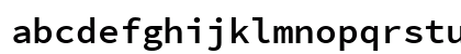 SauceCodePro NF Regular Preview