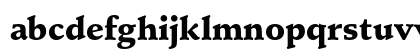 Schneidler Black Preview