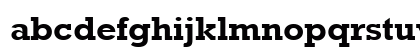 Shakewell Bold Preview