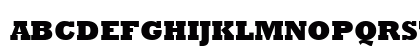 ShakewellExpBlack Normal Preview