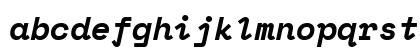 SpaceMono NF Bold Italic Preview