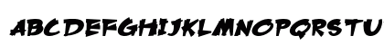 Terricon Bold Italic Preview