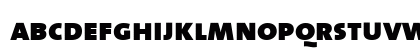 The Sans Black- Black Preview