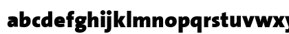 The Sans Black- Black Plain Lowercase Preview