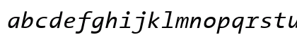 The Sans Mono- Italic Preview