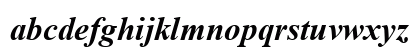 Times New Roman Bold Italic Preview