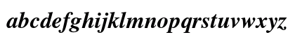 Times Bold Italic Preview
