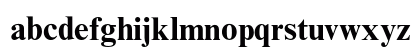 Times New Roman MT Std Bold Lowercase Preview
