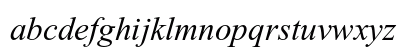 Times New Roman Italic Preview