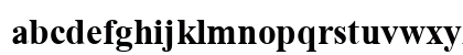 TimesNueve Bold Preview