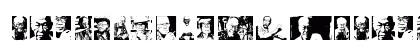Toer Regular Preview