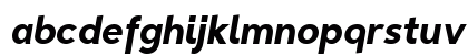 Triomphe Bold Italic Preview