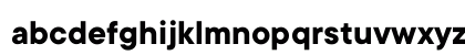 TT Commons Bold Bold Lowercase Preview