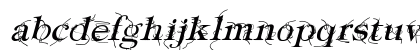 Typography ties Italic Lowercase Preview