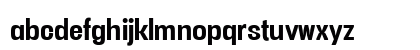 Vacer Sans Personal Bold Lowercase Preview
