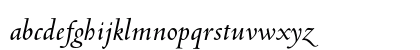 Venetian 301 Demi Italic Preview