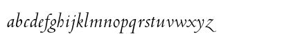 Venetian 301 Italic Preview