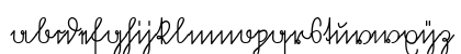 Volk Redis Regular Preview