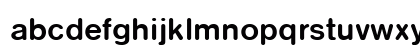 NimbusSanDBolRo1 Regular Preview