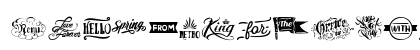Words Regular Preview