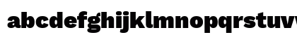 Work Sans Black Regular Lowercase Preview