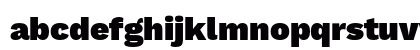 Work Sans Black Preview