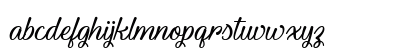 Youth and Beauty Regular Lowercase Preview